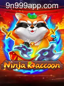 NinjaRaccoon